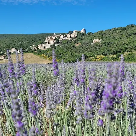 Maisonnette Provençale * Simiane-la-Rotonde